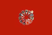 舟山普陀区回收红酒